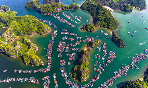 Visit fishing villages in Lan Ha Bay