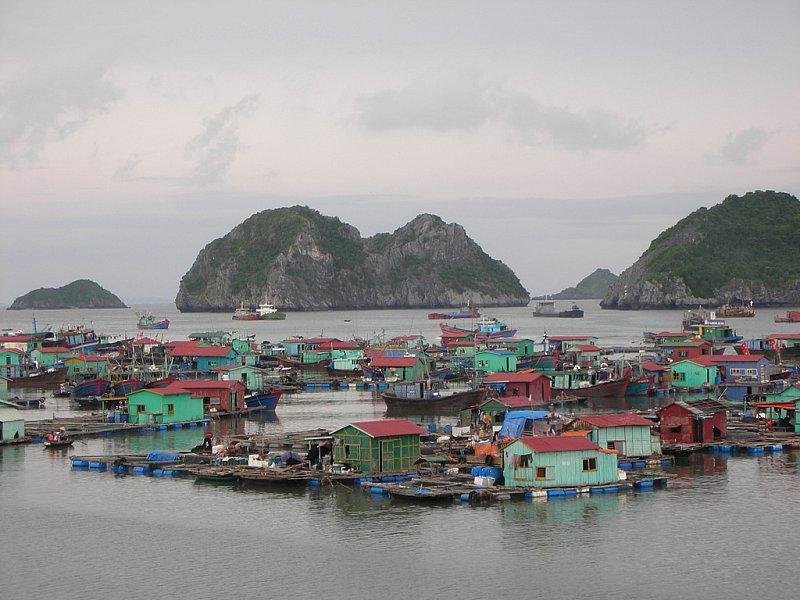 halong12.jpg