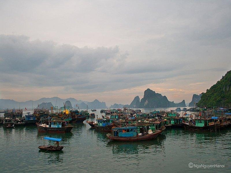 halong24.jpg