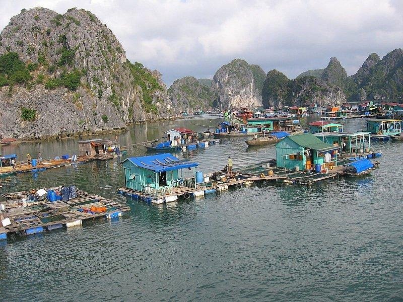 halong27.jpg