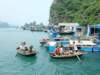 halong72_small.jpg