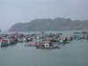 halong86_small.jpg