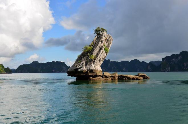 Con Coc islet in Halong bay