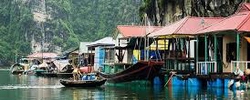 Halong Travel News